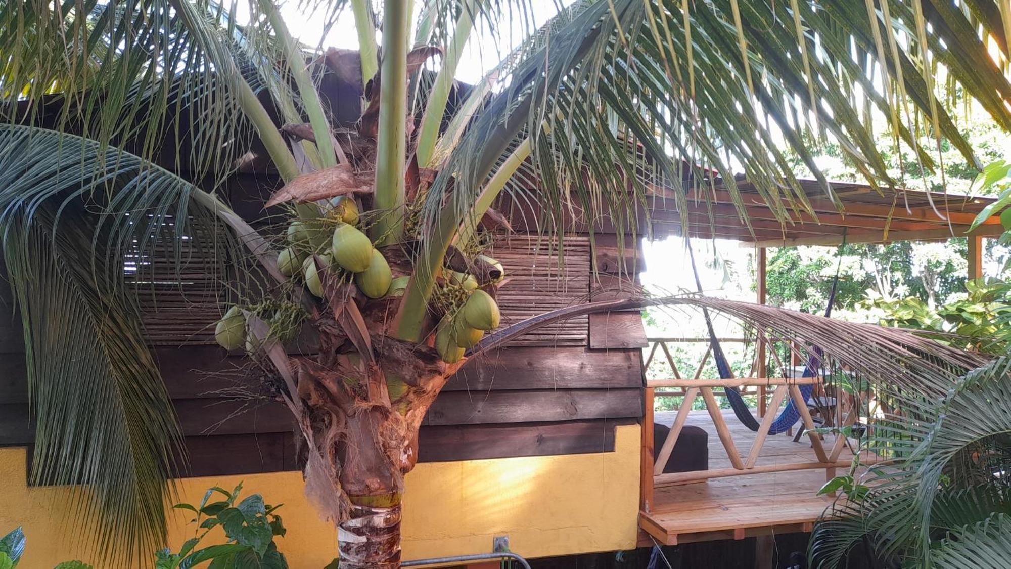 Casa Gio Βίλα Puerto Escondido  Δωμάτιο φωτογραφία